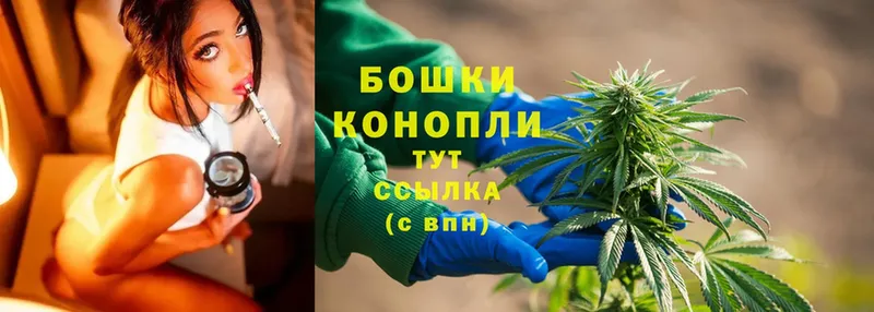 МАРИХУАНА SATIVA & INDICA  omg ссылки  Курлово 